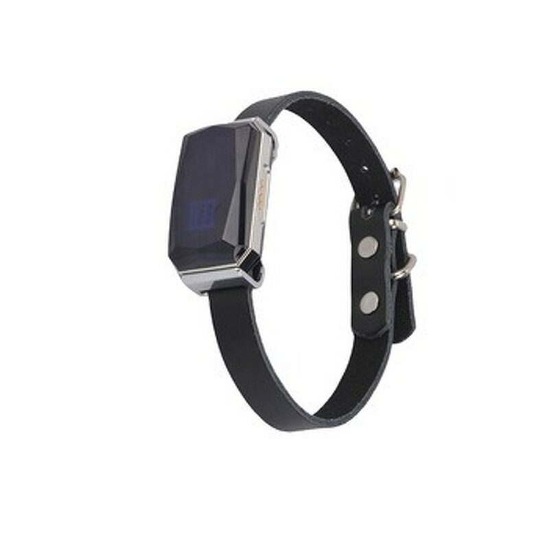 Pets Tracker Manufacturer - GP06 Waterproof 2G GSM GPRS WIFI GPS Wireless Remote Locator Dog Collar