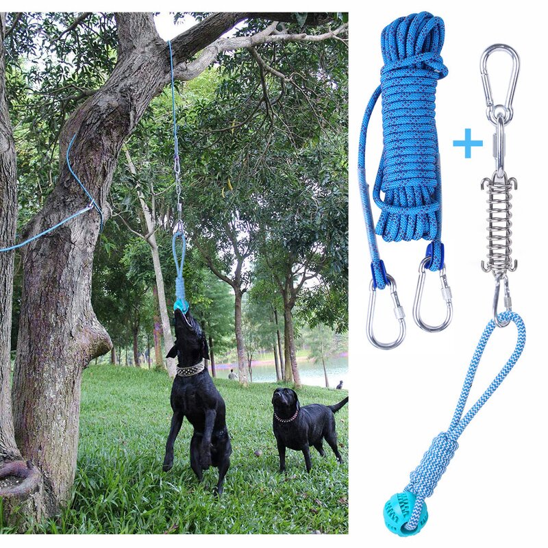 Dog Rope Toy Manufacturer - Durable Interactive Stainless Steel Spring Pole Hanging Exercise Rope