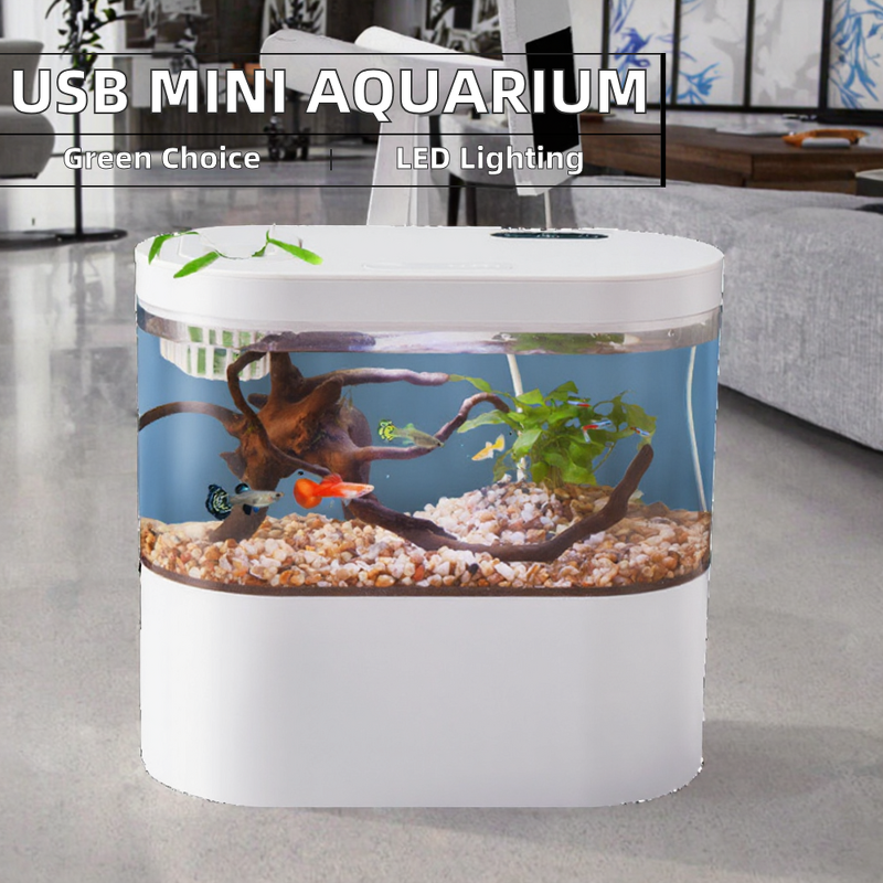 USB Fish Tank Manufacturer - Dining Room Multifunctional Mini Eco-Friendly Plastic Aquarium with Bottom Filter LED Light