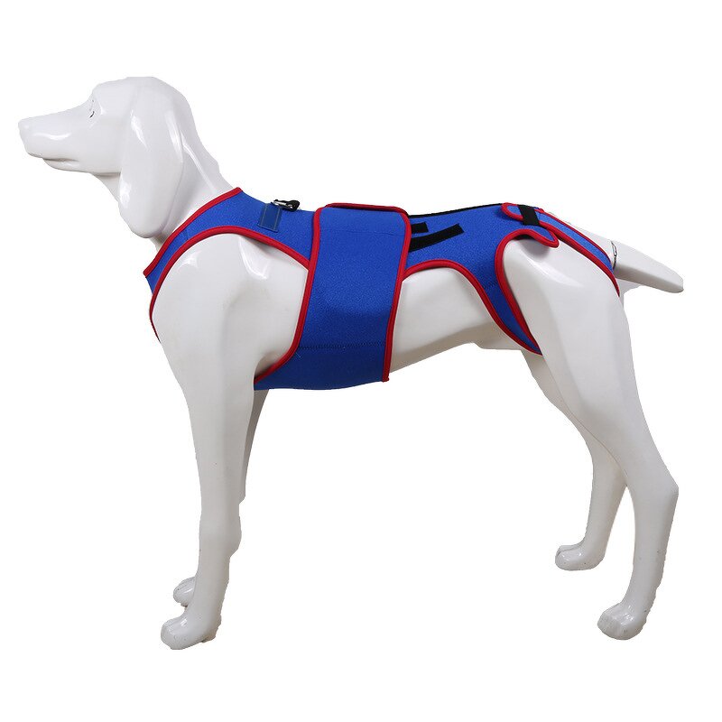Pet Harness Manufacturer - Spine Support Apparel for Summer & Spring