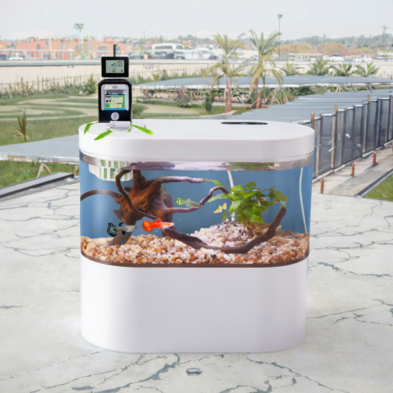 USB Fish Tank Manufacturer - Dining Room Multifunctional Mini Eco-Friendly Plastic Aquarium with Bottom Filter LED Light