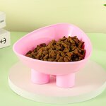 Pet Feeder