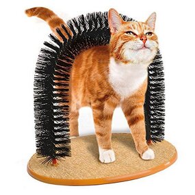 Cat Tunnel Toy Manufacturer - Eco-friendly Arch Self Shedding Scratching Cleaning Toys