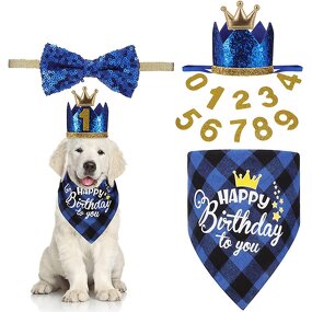 Pet Birthday Decorate Manufacturer - Birthday Slobber Dog Bib Triangle Bow Tie Crown Hat Party Venue Layout