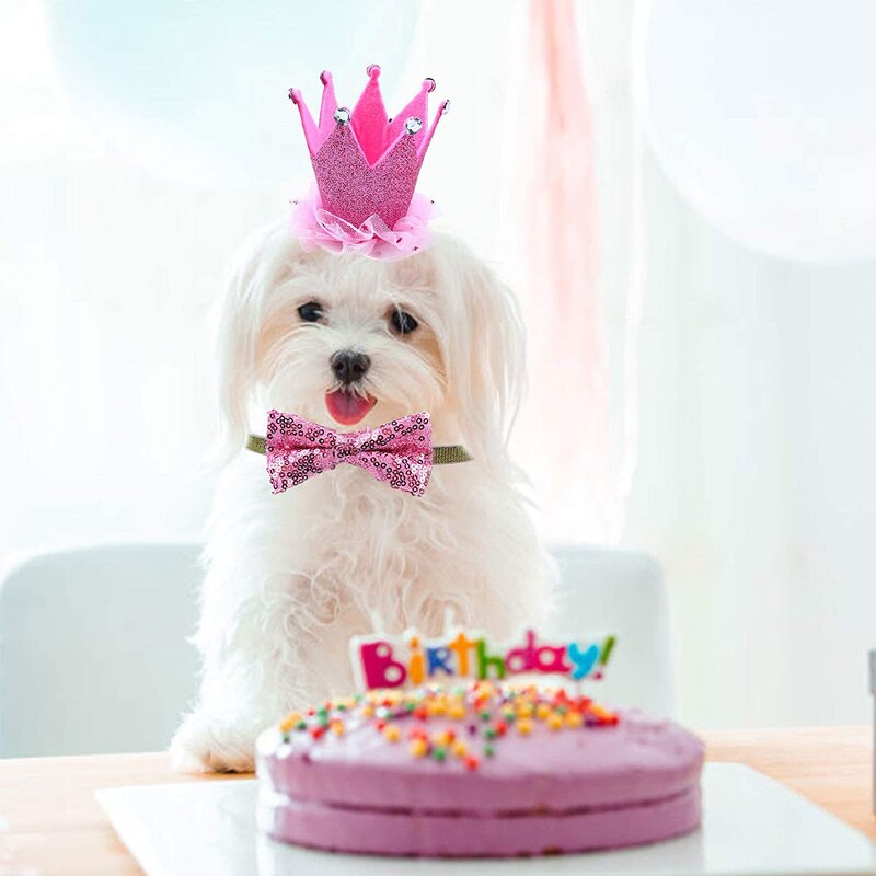 Dog Birthday Party Set Manufacturer - Pink Pet Birthday Banner Dress Skirt Bandana Crown Hat Balloon Cake