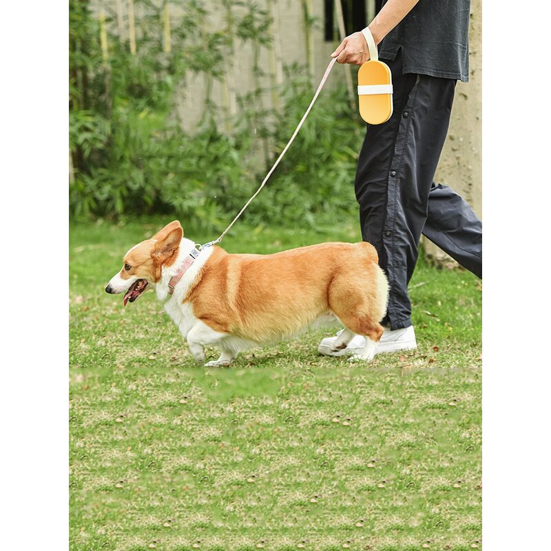 Dog Water Bottle Manufacturer - New Design Portable with Food Storage