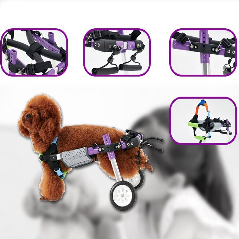 Pet Dog Wheelchair Manufacturer - Disability Scooter Car for Training & Behavior