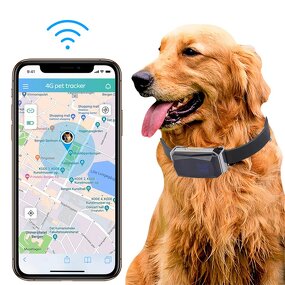 Pets Tracker Manufacturer - GP06 Waterproof 2G GSM GPRS WIFI GPS Wireless Remote Locator Dog Collar