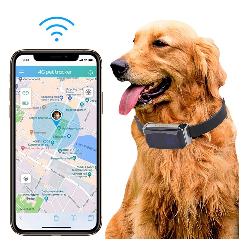 Pets Tracker Manufacturer - GP06 Waterproof 2G GSM GPRS WIFI GPS Wireless Remote Locator Dog Collar