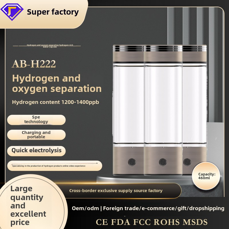 Hydrogen-Rich Water Bottle Manufacturer - 1L High-End Glass Modern Design Battery Powered Eco-friendly Outdoor