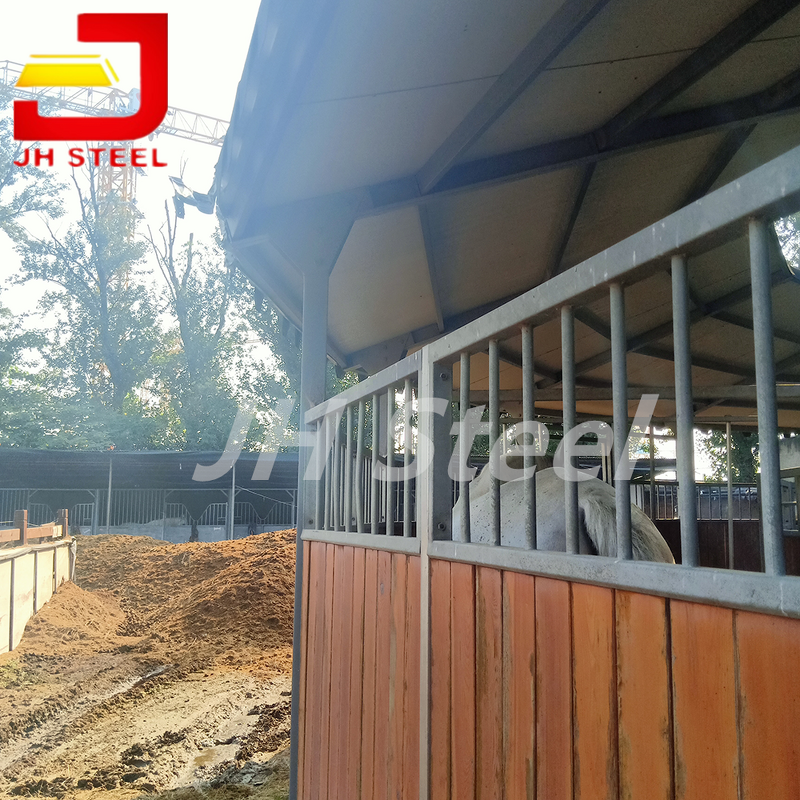 Horse Walker Manufacturer - Safety Professional Exerciser Simple Operation