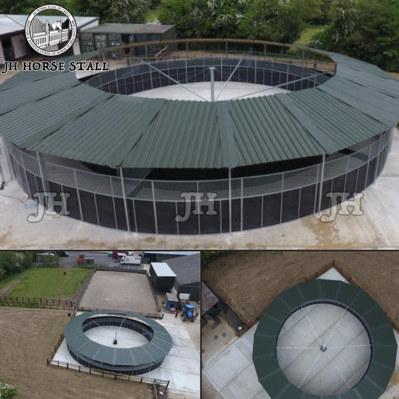 Horse Walking Machine Manufacturer - High-Strength Steel Professional Training Flexible Design