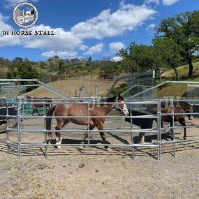 Horse Walker Machine Manufacturer - Portable Affordable Light-Duty for Small Farms