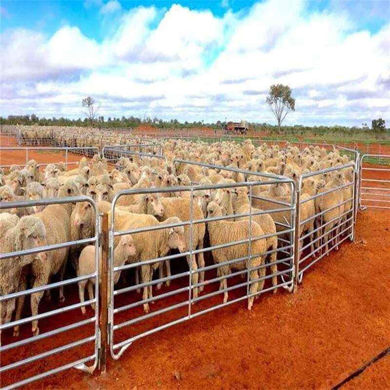 Horse Round Yard Pen Manufacturer - Sheep Panel Bars Cattle Yard Panel