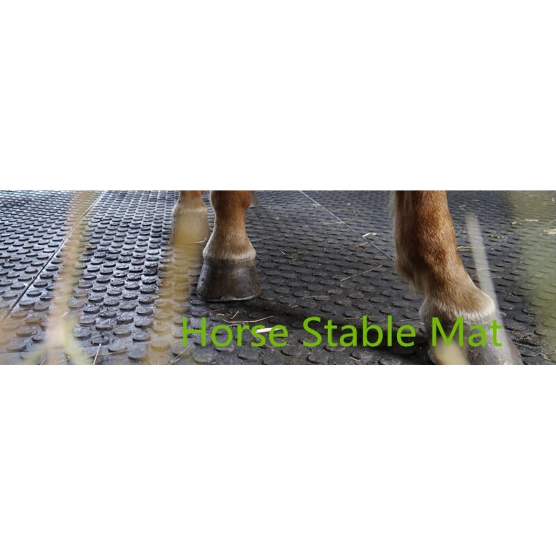 Horse Stable Mats Manufacturer - New Design Durable Animal Mating Cow Mats for Sale