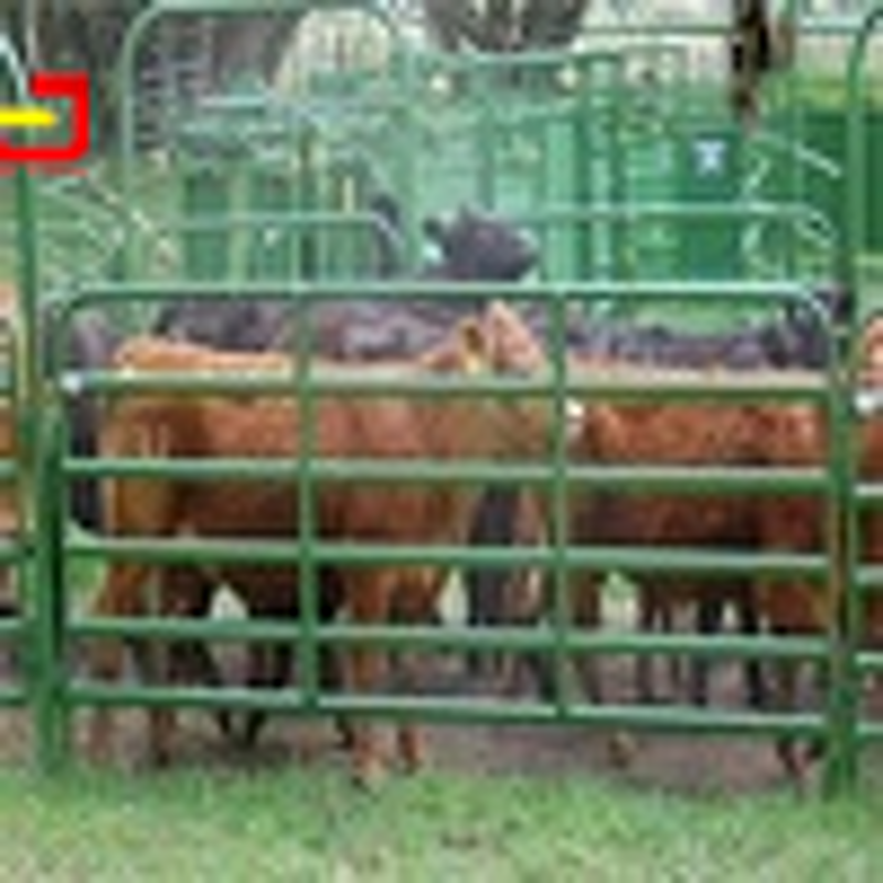 Portable Fence Panel Manufacturer - 6x12 Galvanized Iron Chain Link Temporary for Events