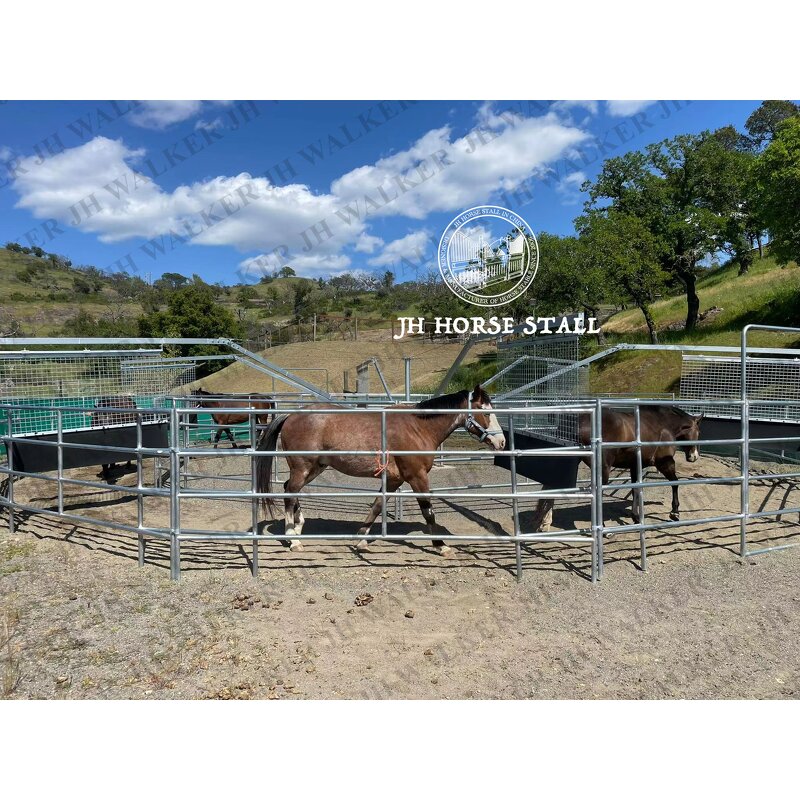 Horse Walker Trainer Manufacturer - Equine Exercise Machine With Fence and Roof