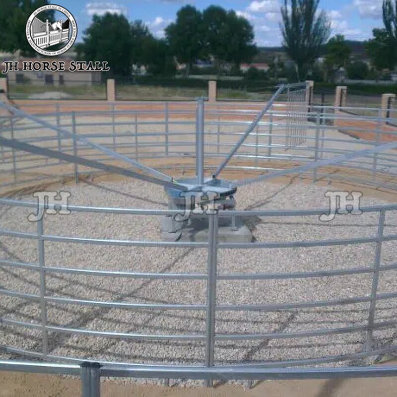 Horse Walker Machine Manufacturer - Dual Direction Adjustable Speed Professional