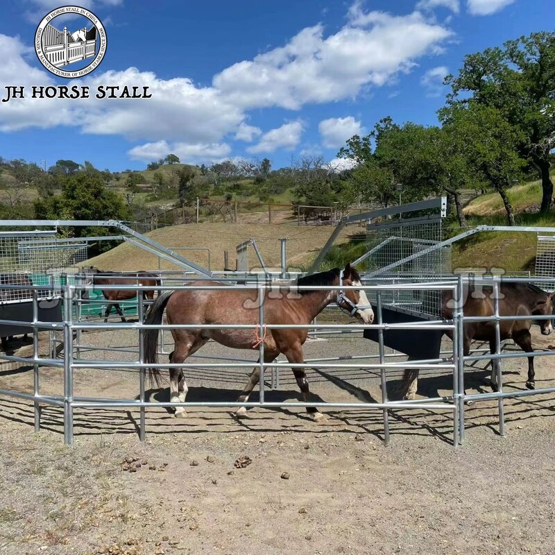 Horse Walker Manufacturer - High-Strength Galvanized Steel Automatic for Training