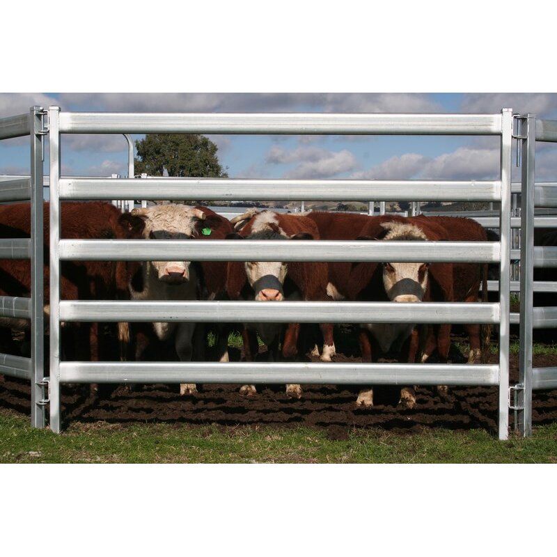 Galvanized Pipes for Fencing Manufacturer - Experienced Manufacturer of Popular Ranch Equipment