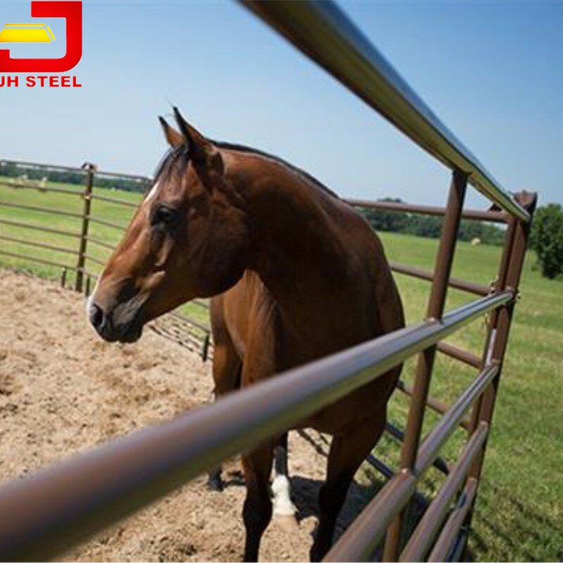 Horse Round Pen Manufacturer - High Quality Corral Yard