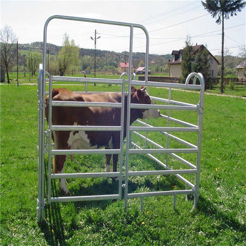 Livestock Cattle Panels Fence Manufacturer - Wholesale Bulk Top Quality Low Price Metal Farm