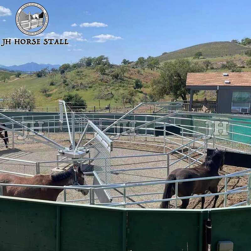 Horse Walker Machine Manufacturer - Dual Direction Adjustable Speed Professional