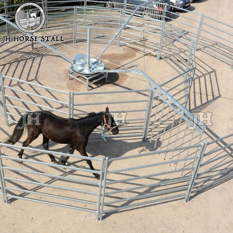 Horse Walker Machine Manufacturer - Dual Direction Adjustable Speed Professional