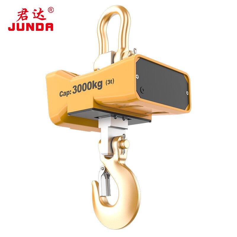 Portable Electronic Crane Scale Manufacturer - High Accuracy 1T 3T 10T Max Capacity