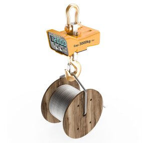 Industrial Electric Hanging Digital Scales Manufacturer - CE Approved for Sale