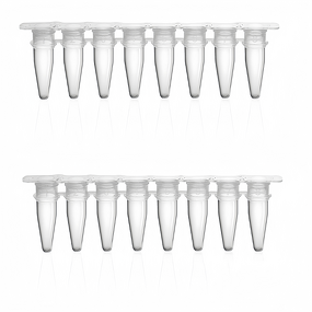 PCR Tubes Manufacturer - Factory Price 0.2Ml with Flat Caps DNase Free 8 Strip