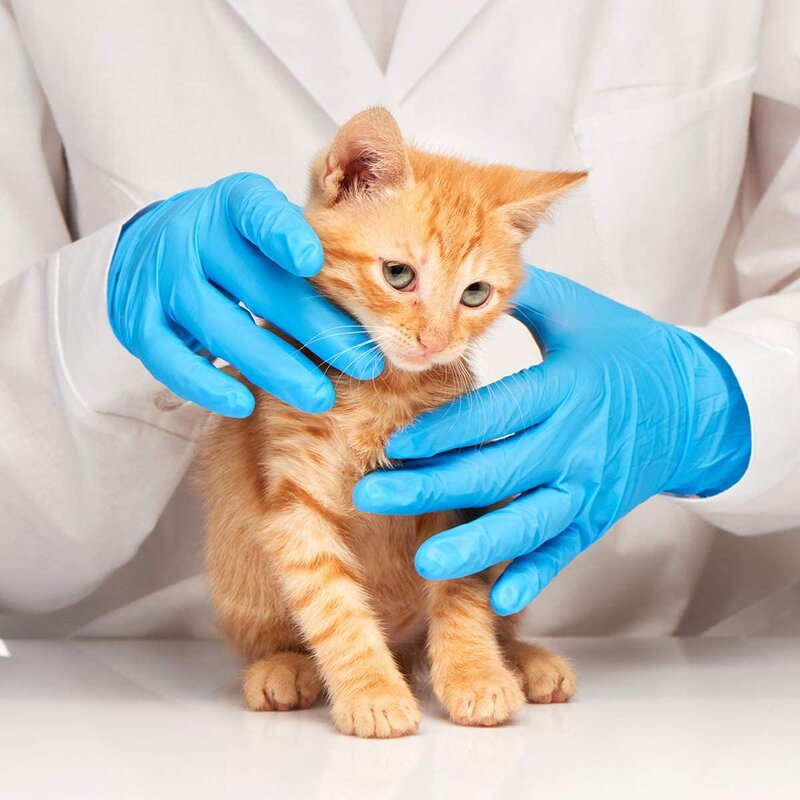 Disposable Nitrile Gloves Manufacturer - Dentists Use 100% Pure Latex Free Powder Free Thickened Heavy Duty