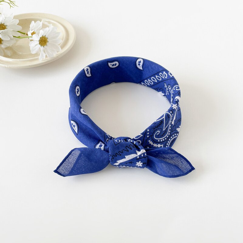 Bandana Manufacturer - 100% Polyester Outdoor Headwear Sport Scarf Neck Headband Paisley Pattern Square