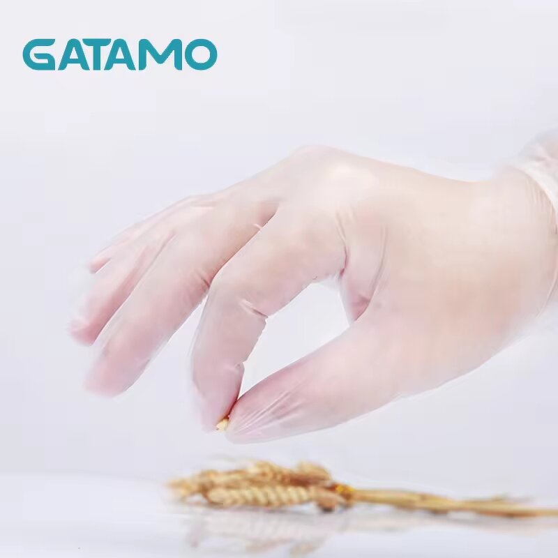 Disposable Vinyl Gloves Manufacturer - Transparent for Medical and Industrial Use