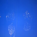 Sticky dust products