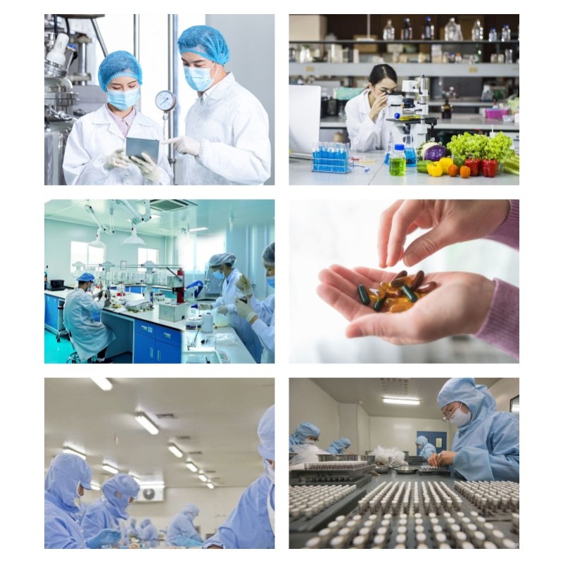 Omega-3 Fish Oil Softgels Manufacturer - GMP Factory OEM Private Label EPA DHA Support Immune