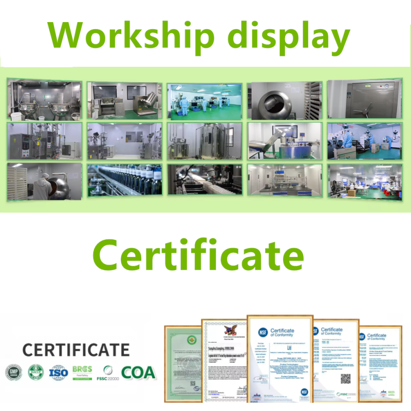 Lion's Mane Drops Manufacturer - Factory OEM Organic Lion's Mane Mushroom Extract Liquid Drops