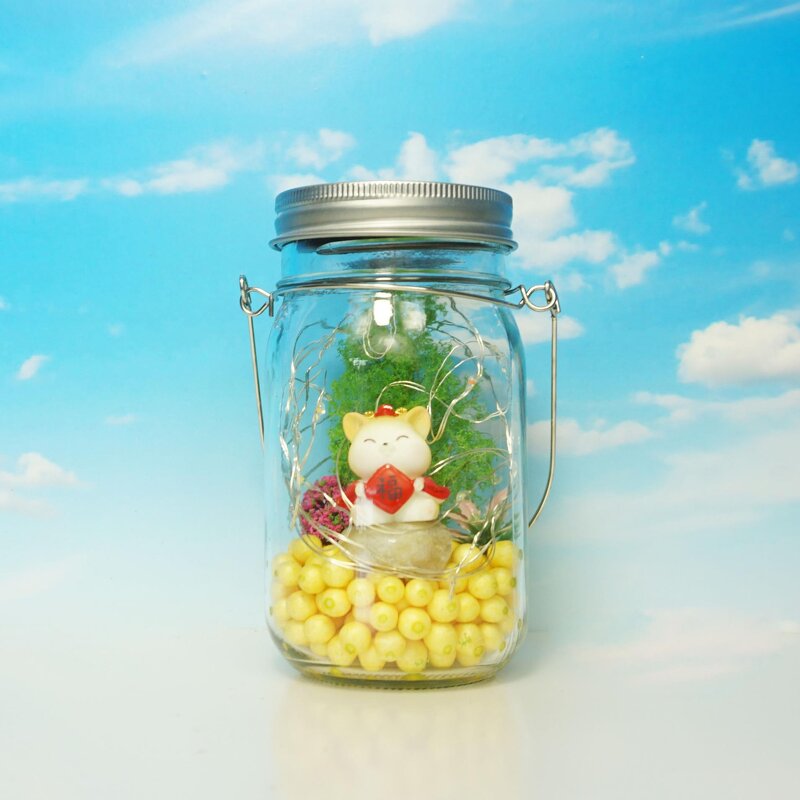 Landscape Glass Jar Light Manufacturer - Senlin Cross-border LED Outdoor Decoration Hanging Color Solar Glow Mason Bottle DIY