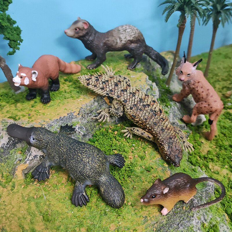 Bobcat Animal Model Manufacturer - Lelewu Simulates Red Panda Mouse Platypus Ferret Spiny Tail Lizard