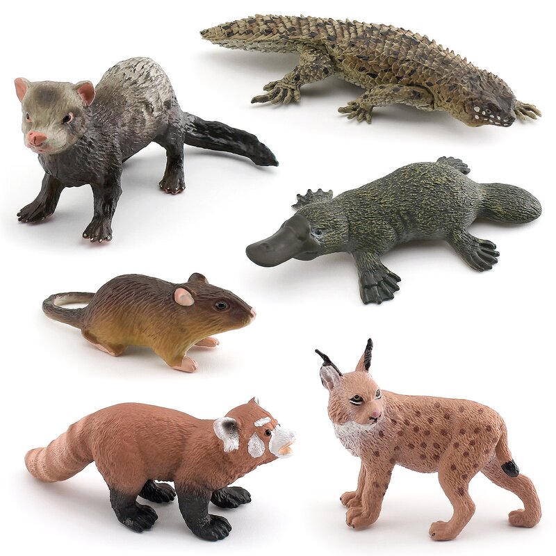 Bobcat Animal Model Manufacturer - Lelewu Simulates Red Panda Mouse Platypus Ferret Spiny Tail Lizard