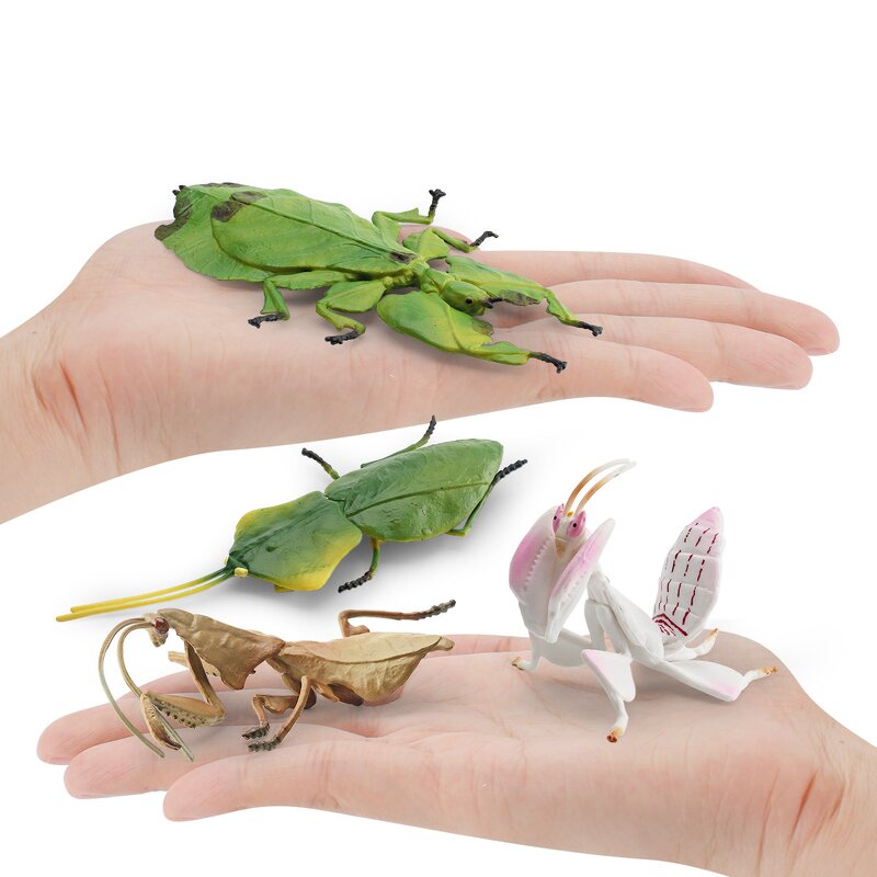 Orchid Mantis Model Manufacturer - Lelewu Simulation Insect Animal Stettii Decoration