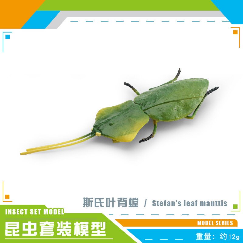 Orchid Mantis Model Manufacturer - Lelewu Simulation Insect Animal Stettii Decoration