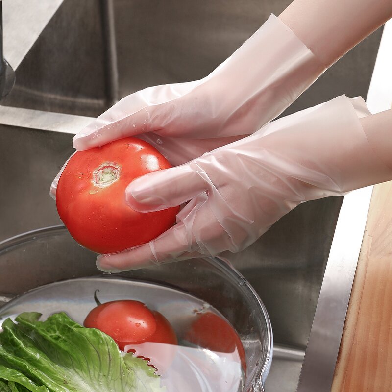 Disposable TPE Gloves Manufacturer - Hot Selling Food Grade Powder Free Low Cost PE