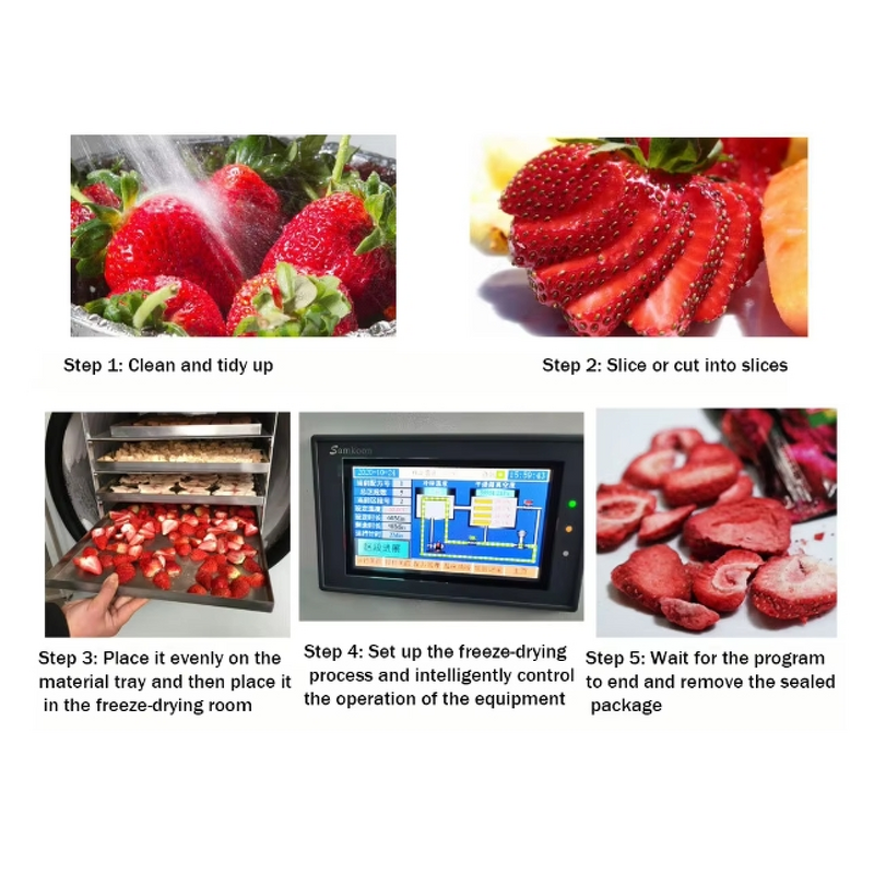 Freeze Drying Machine Manufacturer - Commercial for Fruit Food Coffee Small Laboratory Lyophilizer