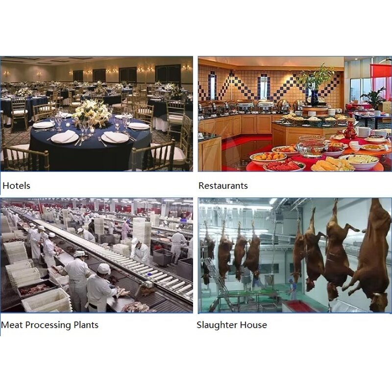 Meat Processing Machine Manufacturer - Poweradd Fully Automatic Stainless Steel 200kg Capacity