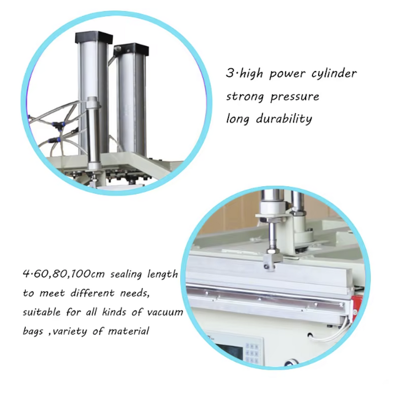 Vacuum Sealer Manufacturer - for Food Fish Meat Automatic Packing Sealing