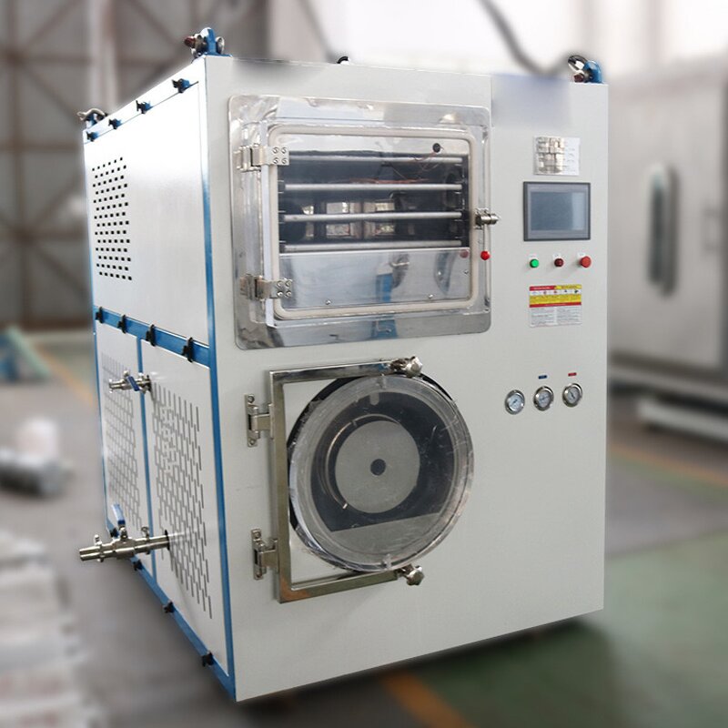 Freeze Drying Machine Manufacturer - 3kg 6 10 Liofilizador Mini Laboratory Vacuum for Home