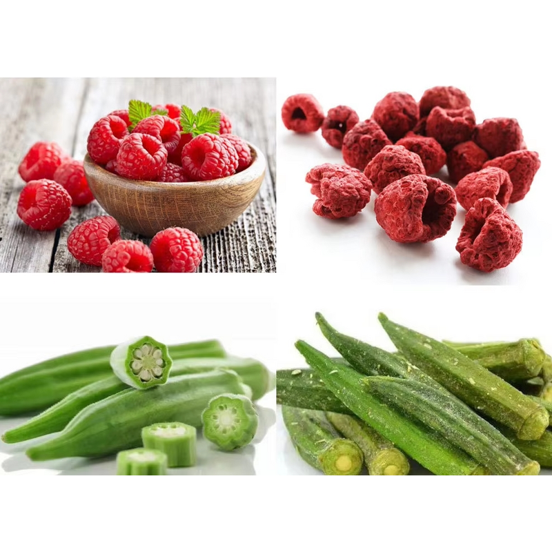 Freeze Drying Machine Manufacturer - Commercial for Fruit Food Coffee Small Laboratory Lyophilizer