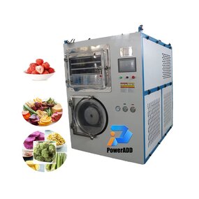 Freeze Drying Machine Manufacturer - 3kg 6 10 Liofilizador Mini Laboratory Vacuum for Home