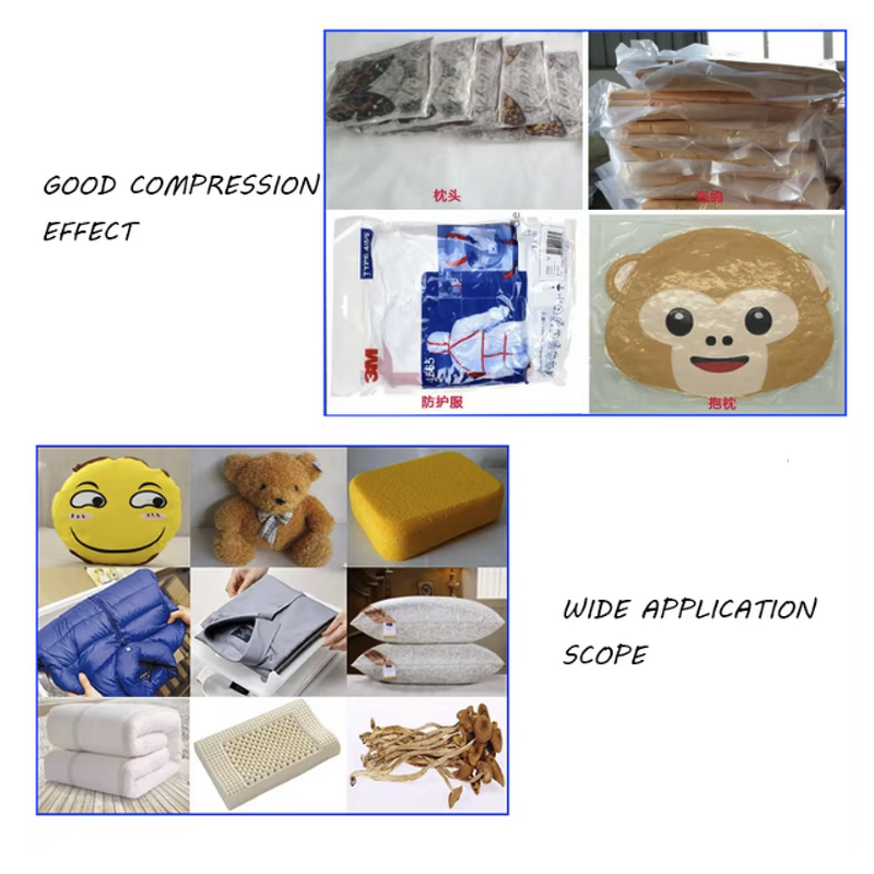 Vacuum Sealer Manufacturer - for Food Fish Meat Automatic Packing Sealing